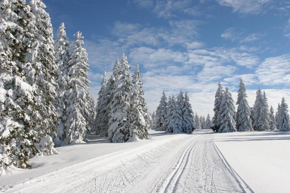 Apartman Na Svahu, Krkonose Žacléř Dış mekan fotoğraf